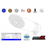 Dominator - Yamaha YZF R6 2006 - 2016 Exhaust Megaphone Titanium GP3