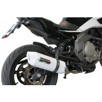 GPR - Cf Moto 650 Mt 2021/2024 e5 Albus Evo4