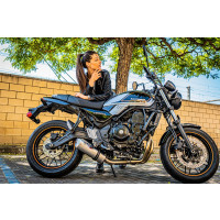 GPR - Kawasaki Z 650 RS - ZR 650 RS Ann. 2021/2023 e5 Satinox