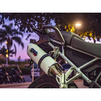 GPR - Triumph Tiger 900 2020/2023 e5 Albus Evo4