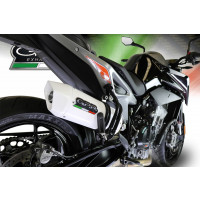 GPR - Ktm Duke 790 2017/2020 e4 Albus Evo4